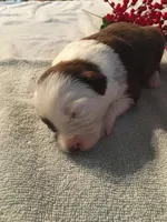 processed/7e34b942-771c-417a-88b4-871f1fd0363c/facility/6f4985f8-dc5c-42b9-bb88-16896fb059aa