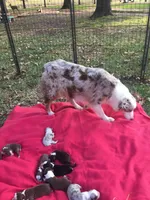 processed/7e34b942-771c-417a-88b4-871f1fd0363c/facility/74ef6b3b-ae83-4982-b750-ef21f15faa77