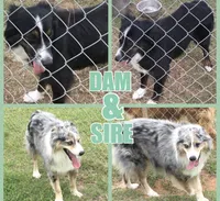 processed/7e34b942-771c-417a-88b4-871f1fd0363c/facility/ffb56985-576e-4934-b023-c0b91838b22e