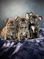 processed/7e3b780d-4fe6-43bf-9481-cbe40e1c9083/facility/75be1393-b517-4d1e-8465-1fd169b456d7