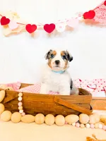 processed/7e3c1679-2137-422d-9ebf-1fabeba8c423/listing/7d4f6c0e-f850-47b9-b5aa-16f0acfe0841/2218ab5e-8e22-4003-8b0d-7813f98cd8fa