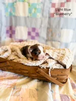 processed/7e3c1679-2137-422d-9ebf-1fabeba8c423/listing/7d4f6c0e-f850-47b9-b5aa-16f0acfe0841/93a25ade-44c7-46a1-8b1c-b9626a8ee223