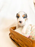 processed/7e3c1679-2137-422d-9ebf-1fabeba8c423/listing/7d4f6c0e-f850-47b9-b5aa-16f0acfe0841/bf3a20e3-5b14-4c2a-a787-a1ef1dd8bb3f