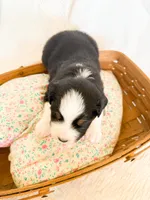 processed/7e3c1679-2137-422d-9ebf-1fabeba8c423/listing/870ae985-c419-4d26-9e21-a020d2b5c91d/5f8bcf86-8144-43ac-9e3b-b7937f2f4749