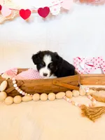 processed/7e3c1679-2137-422d-9ebf-1fabeba8c423/listing/870ae985-c419-4d26-9e21-a020d2b5c91d/6973d98f-f01f-4aac-bc3f-2e0b89bccdf5