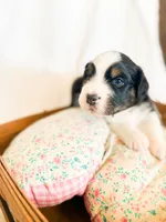 processed/7e3c1679-2137-422d-9ebf-1fabeba8c423/listing/870ae985-c419-4d26-9e21-a020d2b5c91d/7442e549-0e51-49cf-921d-21fe1fcf2bcf