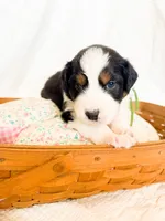 processed/7e3c1679-2137-422d-9ebf-1fabeba8c423/listing/c88ec099-be96-47f3-93f1-e074edde1a86/4c8e051a-8666-44b8-b830-da5adf2c9d31