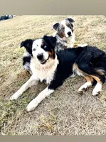 processed/7e3c1679-2137-422d-9ebf-1fabeba8c423/listing/c88ec099-be96-47f3-93f1-e074edde1a86/a11075b5-04bd-460d-8c08-3b23fb0ae77b