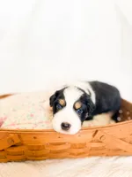 processed/7e3c1679-2137-422d-9ebf-1fabeba8c423/listing/e7f2a72a-a531-4a66-9060-da742b5fcea1/104d9880-054b-4a30-906d-e8df97ee805b