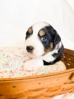 processed/7e3c1679-2137-422d-9ebf-1fabeba8c423/listing/e7f2a72a-a531-4a66-9060-da742b5fcea1/13fb71a6-15ad-431a-97e0-044d87edd360