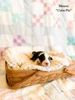 processed/7e3c1679-2137-422d-9ebf-1fabeba8c423/listing/e7f2a72a-a531-4a66-9060-da742b5fcea1/e4986848-7f12-4678-9fdd-0253afaf9270