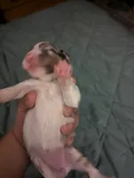 processed/7e46f084-06c6-4857-b8eb-7644f826ddd2/listing/0247a941-9772-41b1-bb59-a274fd55b123/4dacffb0-8fc8-47b8-a9e8-d17ec034b986