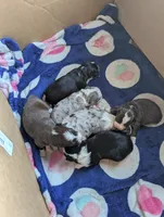 processed/7e46f084-06c6-4857-b8eb-7644f826ddd2/listing/0247a941-9772-41b1-bb59-a274fd55b123/5cf0a30d-fddb-472d-9ecd-f0f364bb01a1