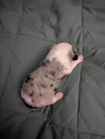 processed/7e46f084-06c6-4857-b8eb-7644f826ddd2/listing/0247a941-9772-41b1-bb59-a274fd55b123/6473d3cf-476b-4a5d-bfc3-20cb3fa1c42c