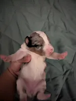 processed/7e46f084-06c6-4857-b8eb-7644f826ddd2/listing/0247a941-9772-41b1-bb59-a274fd55b123/78e0f765-501f-4c08-9c62-d6f5b0a7948d