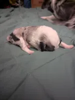 processed/7e46f084-06c6-4857-b8eb-7644f826ddd2/listing/0247a941-9772-41b1-bb59-a274fd55b123/d7756631-5572-4dad-8653-446398962a59