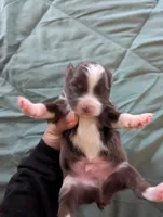 processed/7e46f084-06c6-4857-b8eb-7644f826ddd2/listing/1869481d-d47e-450f-abdd-2b4bcf2f2a4f/57aeafc8-c0c3-459f-aaa2-20ef688eb062