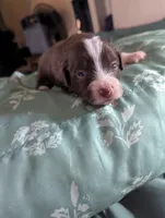 processed/7e46f084-06c6-4857-b8eb-7644f826ddd2/listing/1869481d-d47e-450f-abdd-2b4bcf2f2a4f/67520a8d-672b-4892-b370-7313aae06523