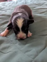 processed/7e46f084-06c6-4857-b8eb-7644f826ddd2/listing/1869481d-d47e-450f-abdd-2b4bcf2f2a4f/9d836c4d-4600-4908-b5a8-1058cf1c6355