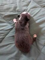 processed/7e46f084-06c6-4857-b8eb-7644f826ddd2/listing/1869481d-d47e-450f-abdd-2b4bcf2f2a4f/d6487faa-f1ef-4430-bc3c-90f62e167a50