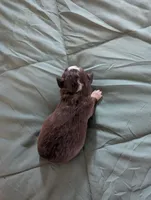 processed/7e46f084-06c6-4857-b8eb-7644f826ddd2/listing/5d37b761-19db-4121-8ef9-72ff632335ec/0c48849f-2071-4eb3-b934-a5209fb0dd37