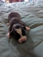 processed/7e46f084-06c6-4857-b8eb-7644f826ddd2/listing/5d37b761-19db-4121-8ef9-72ff632335ec/ca4004a4-767d-46c9-ac41-0434d31d5773