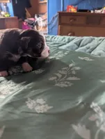 processed/7e46f084-06c6-4857-b8eb-7644f826ddd2/listing/5d37b761-19db-4121-8ef9-72ff632335ec/ca9fda25-947e-455c-be2b-26e3dce8fc45