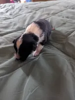 processed/7e46f084-06c6-4857-b8eb-7644f826ddd2/listing/7e8f8bb7-467e-4766-b81a-788737571332/198f18cd-c954-43a7-846e-d7595684bd04