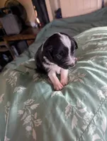 processed/7e46f084-06c6-4857-b8eb-7644f826ddd2/listing/7e8f8bb7-467e-4766-b81a-788737571332/1d6bff91-cb3c-4df0-bf49-13c7967472cc