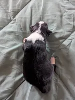 processed/7e46f084-06c6-4857-b8eb-7644f826ddd2/listing/7e8f8bb7-467e-4766-b81a-788737571332/b2c41c16-6124-4f0b-b7ca-35250add1e21