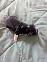 processed/7e46f084-06c6-4857-b8eb-7644f826ddd2/listing/c323bdbc-e976-4e5b-a997-679b74c4e19e/0359c541-888c-4caa-a6fb-3bfbc65e50c2