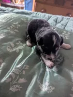 processed/7e46f084-06c6-4857-b8eb-7644f826ddd2/listing/c323bdbc-e976-4e5b-a997-679b74c4e19e/2c88b684-eda6-4bf0-8dcc-3d3788bf3ab0