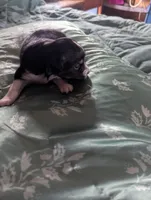 processed/7e46f084-06c6-4857-b8eb-7644f826ddd2/listing/c323bdbc-e976-4e5b-a997-679b74c4e19e/37c93a68-fcf4-4c82-b25d-847ab3bb43e9