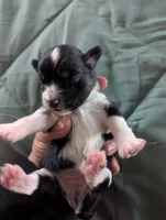 processed/7e46f084-06c6-4857-b8eb-7644f826ddd2/listing/c323bdbc-e976-4e5b-a997-679b74c4e19e/8f1c3ada-92c5-4784-bf18-59f194c7a757