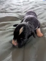 processed/7e46f084-06c6-4857-b8eb-7644f826ddd2/listing/c323bdbc-e976-4e5b-a997-679b74c4e19e/df17a525-0596-4467-8747-e0a9ba0107d9