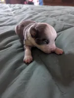 processed/7e46f084-06c6-4857-b8eb-7644f826ddd2/listing/eed9941b-b821-42d6-8186-3ec1e10d359a/28f78200-05dd-43e1-b9c9-c5b2ffd61a61