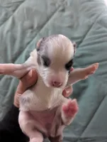 processed/7e46f084-06c6-4857-b8eb-7644f826ddd2/listing/eed9941b-b821-42d6-8186-3ec1e10d359a/e32255ba-1e8c-4b85-92ad-aa110e956c85