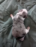 processed/7e46f084-06c6-4857-b8eb-7644f826ddd2/listing/eed9941b-b821-42d6-8186-3ec1e10d359a/ffa1330d-97fa-4311-9e05-b965199768b2