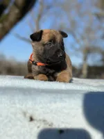 processed/7e477a00-eff5-4bd4-be9f-2bae1011449c/listing/7c45947c-a8a3-4266-8ce5-083080fa6a04/10f8b945-b742-4eac-a0b3-b012db95c793