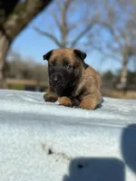 processed/7e477a00-eff5-4bd4-be9f-2bae1011449c/listing/7c45947c-a8a3-4266-8ce5-083080fa6a04/4337f9f8-c1f4-4331-800c-d11fe905eb4c