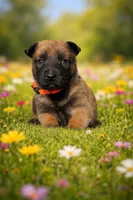 processed/7e477a00-eff5-4bd4-be9f-2bae1011449c/listing/7c45947c-a8a3-4266-8ce5-083080fa6a04/d4867fe0-4d0c-4484-96dc-0cd496ade1cc