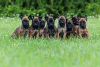 processed/7e477a00-eff5-4bd4-be9f-2bae1011449c/listing/8f7cd81f-0ecd-4849-92cd-06b23080361a/6582704a-61e5-455c-8c47-d013e5f480d7