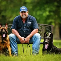 Lisa, a female Belgian Malinois for sale in Poplarville, MS – Photo 4 of 4