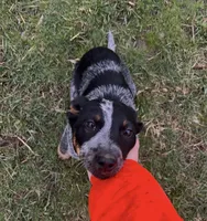 processed/7e48bb6c-477a-40a0-8757-06d9bd53ca22/listing/0db0379f-51ab-4a36-84f2-7c208a615495/601e00fc-f195-43e3-a68c-029ec49cef81