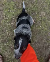 processed/7e48bb6c-477a-40a0-8757-06d9bd53ca22/listing/0db0379f-51ab-4a36-84f2-7c208a615495/72731c05-df9c-45a4-9464-4c270ddedd66