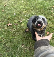 processed/7e48bb6c-477a-40a0-8757-06d9bd53ca22/listing/2b3eb3ac-339a-46c7-9386-00bbbdae4331/7bc48f9a-863f-4331-935e-717a743ac557