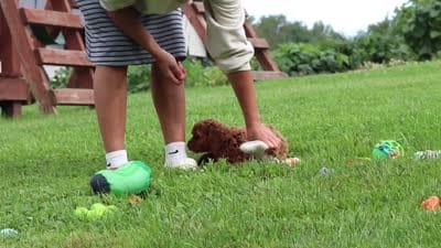 Elowyn, a female Cavapoo for sale in Fresno, OH – 9 of 9