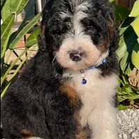 processed/7e4df409-cefb-4344-a6e4-9ea951afe7bd/facility/33f5e42b-e91f-42c7-ad0e-f70a4a63efd8