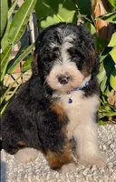 processed/7e4df409-cefb-4344-a6e4-9ea951afe7bd/facility/33f5e42b-e91f-42c7-ad0e-f70a4a63efd8