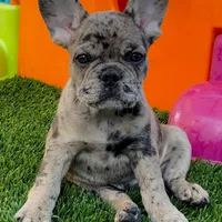 processed/7e4df409-cefb-4344-a6e4-9ea951afe7bd/facility/3ad88985-4233-4dac-b838-5cfa907acff6